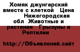 Хомяк джунгарский вместе с клеткой › Цена ­ 600 - Нижегородская обл. Животные и растения » Грызуны и Рептилии   